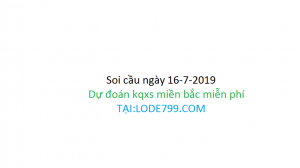 soi cầu vip 247