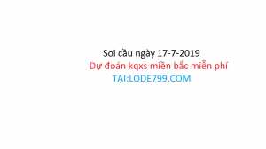 soi cầu đẹp 247