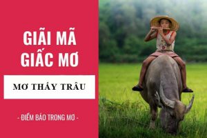 Mơ thấy trâu quất con gì