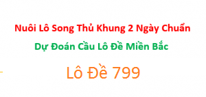 Cặp song thủ nuôi khung 2 ngày