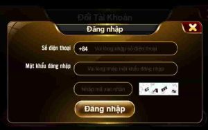 Giới thiệu cơ bản